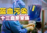 福祸相依的人造“异型血”の藏在人群中被觊觎的“完美替身”