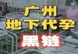 广州代孕地下黑产链真实暗面，“造人生意”竟是打造商业帝国的秘诀？