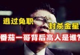 逃过上海首富免职宴，一番嘲讽封杀金星，番茄一哥曹可凡背后站着谁？