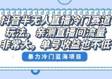 抖音半无人直播冷门新玩法，直播间流量非常大，单号收益也不低！