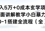 月入5万+的0成本玄学项目，全方面讲解教学，0-1搭建全流程，小白暴力掘金