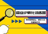商业IP孵化训练营，教你做商业IP、人设、流量，搞好钱