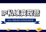 IP私域变现课程：创业人做私域IP必参加的变现教程（22节课）