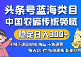 头条号蓝海类目：传统农谚领域实操精品课程，拒绝违规封号稳定日入300+