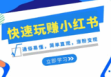 新赛道·快速玩赚小红书：通俗易懂，简单直观，涨粉变现（35节课）