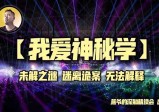 被数度篡改的世界第一流医术，只适用于国人的“特供药”