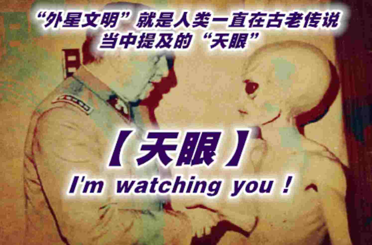 专题文章分类合集  第3张