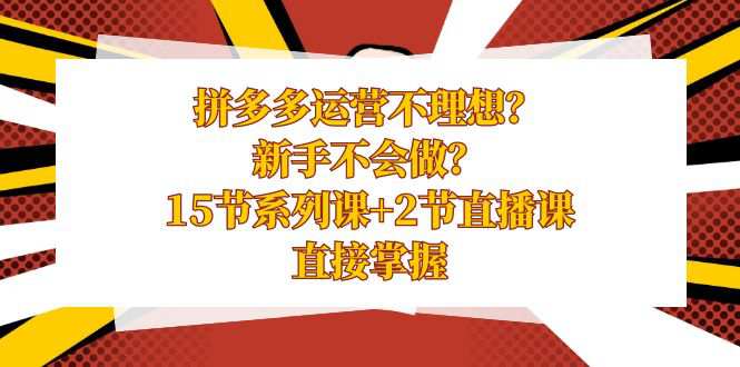 拼多多运营课程,新手不会做?15节系列课+2节直播课,直接掌握 第1张 拼多多运营课程,新手不会做?15节系列课+2节直播课,直接掌握 第1张
