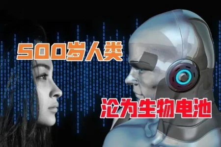 3个月废一个人，“用完即弃”的科技杀猪盘